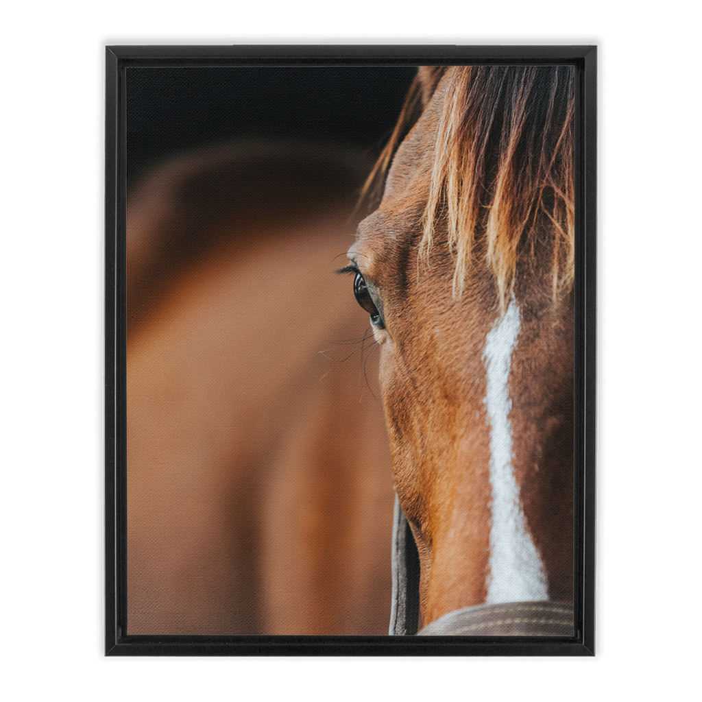 Majestic 1, Framed Canvas
