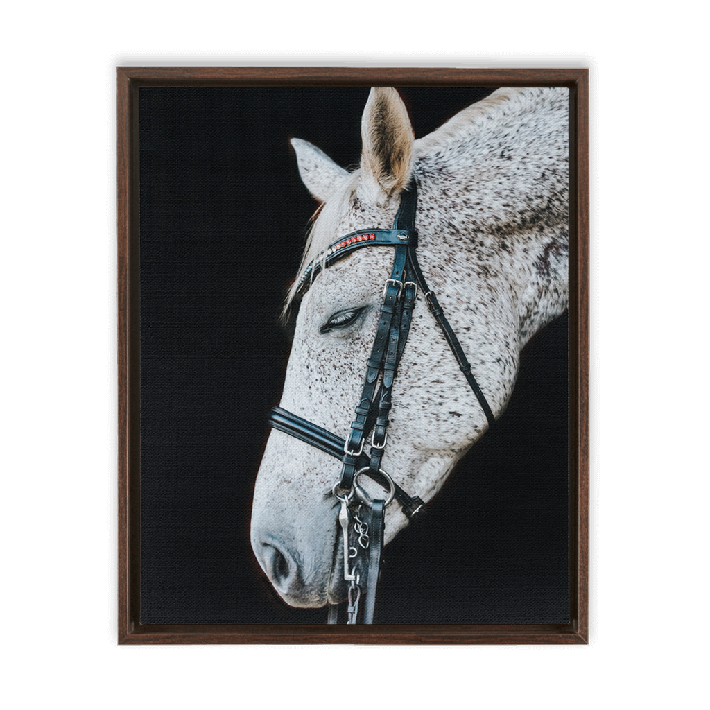 Apollo Series 1, Framed Canvas
