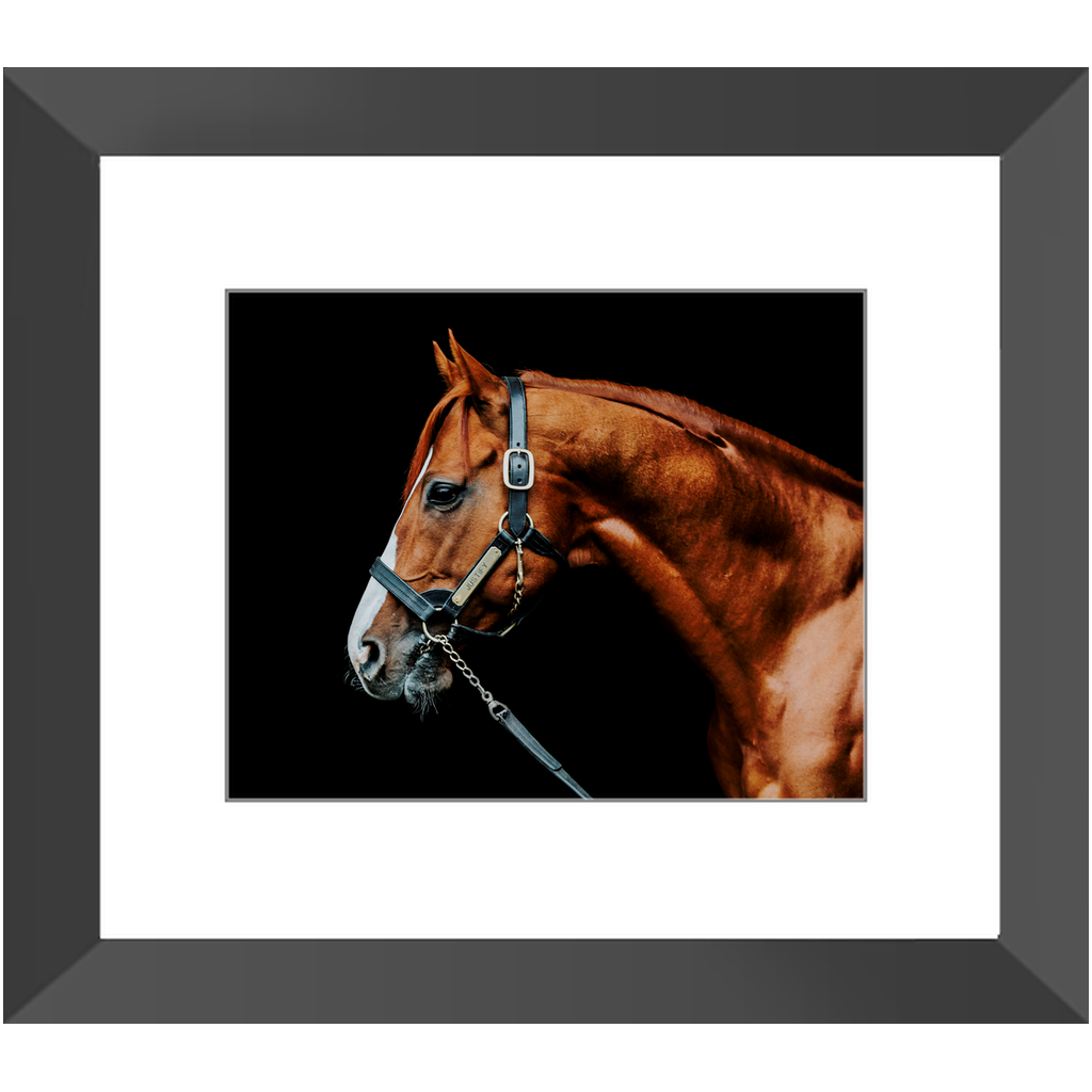 Justify Series 3, Framed Print