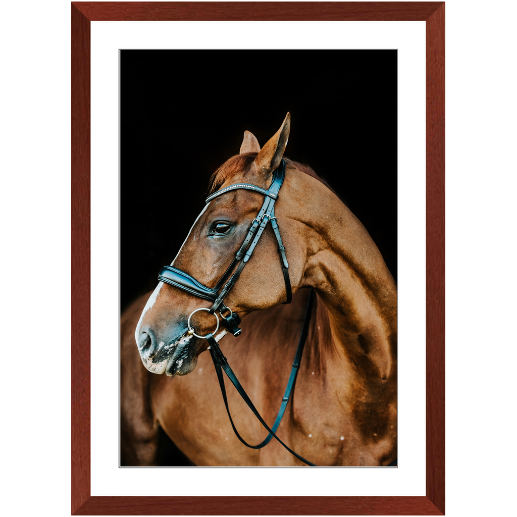 Hudson Series 6, Framed Print