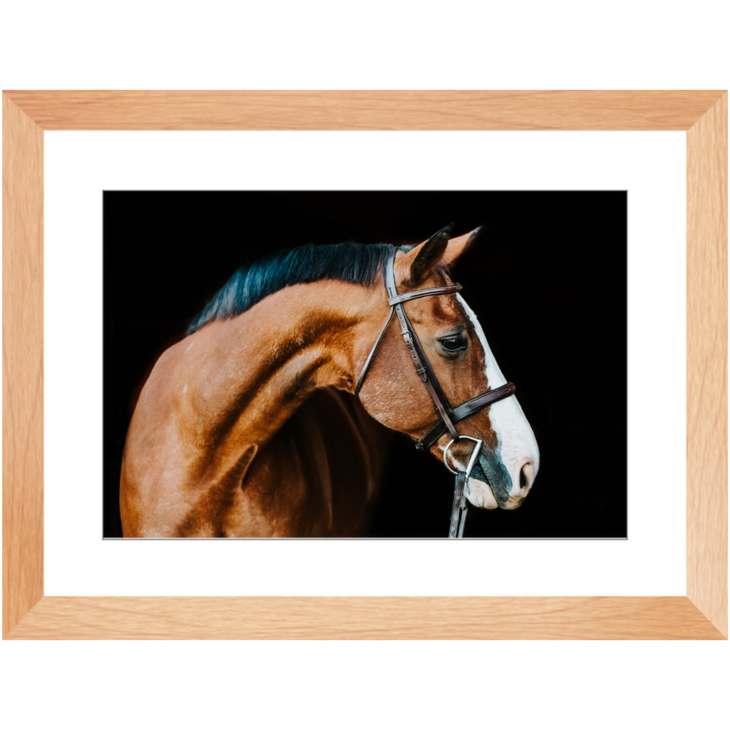Huntsman Series 3, Framed Print