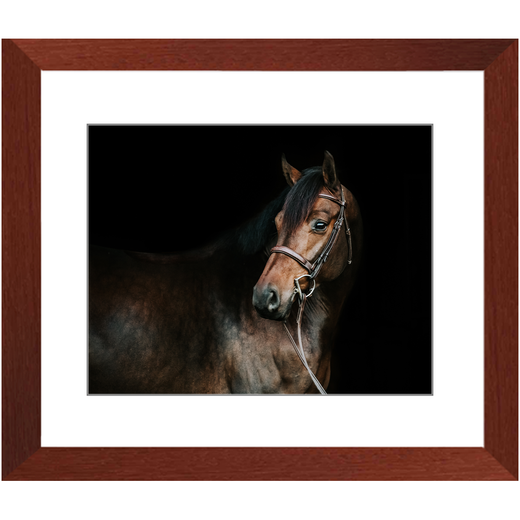Jovial Series 2, Framed Print