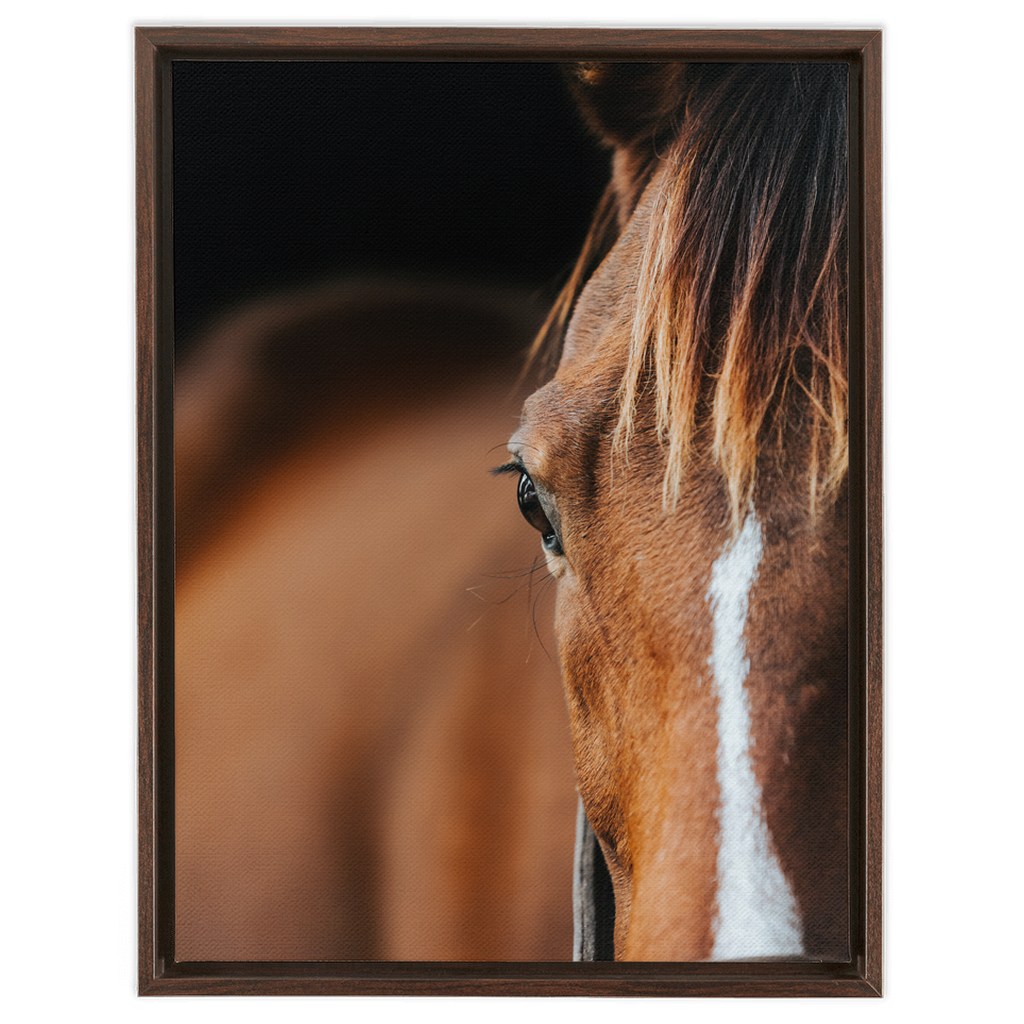 Majestic 1, Framed Canvas