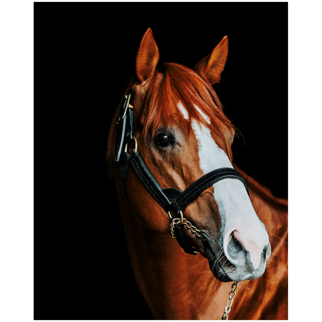 Justify Series 2, Print