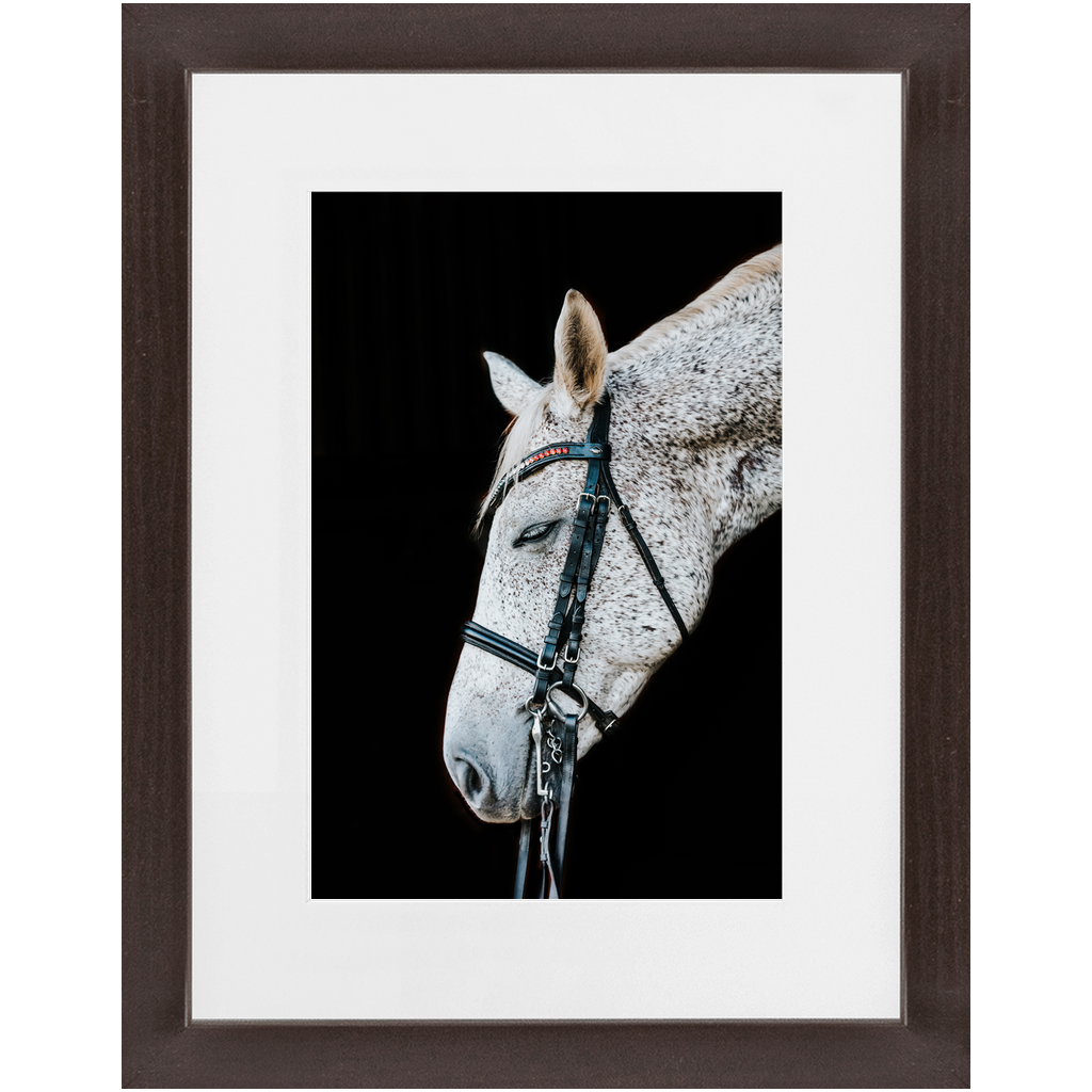 Apollo Series 2, Framed Print