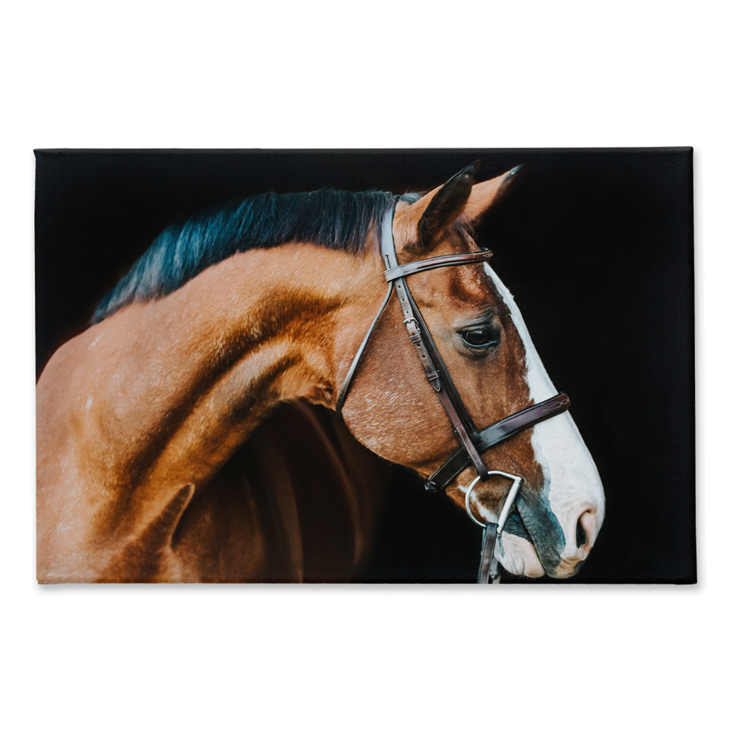 Huntsman Series 3, Canvas