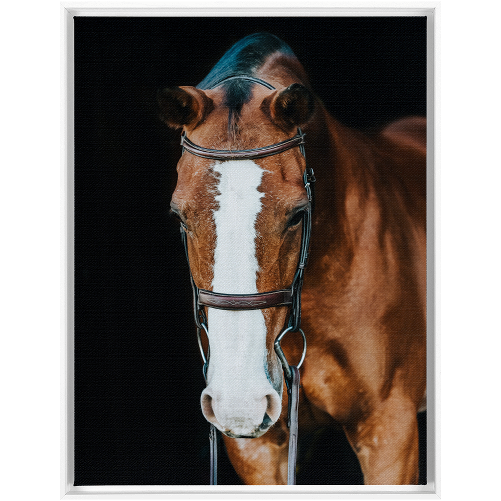 Huntsman Series 6, Framed Canvas
