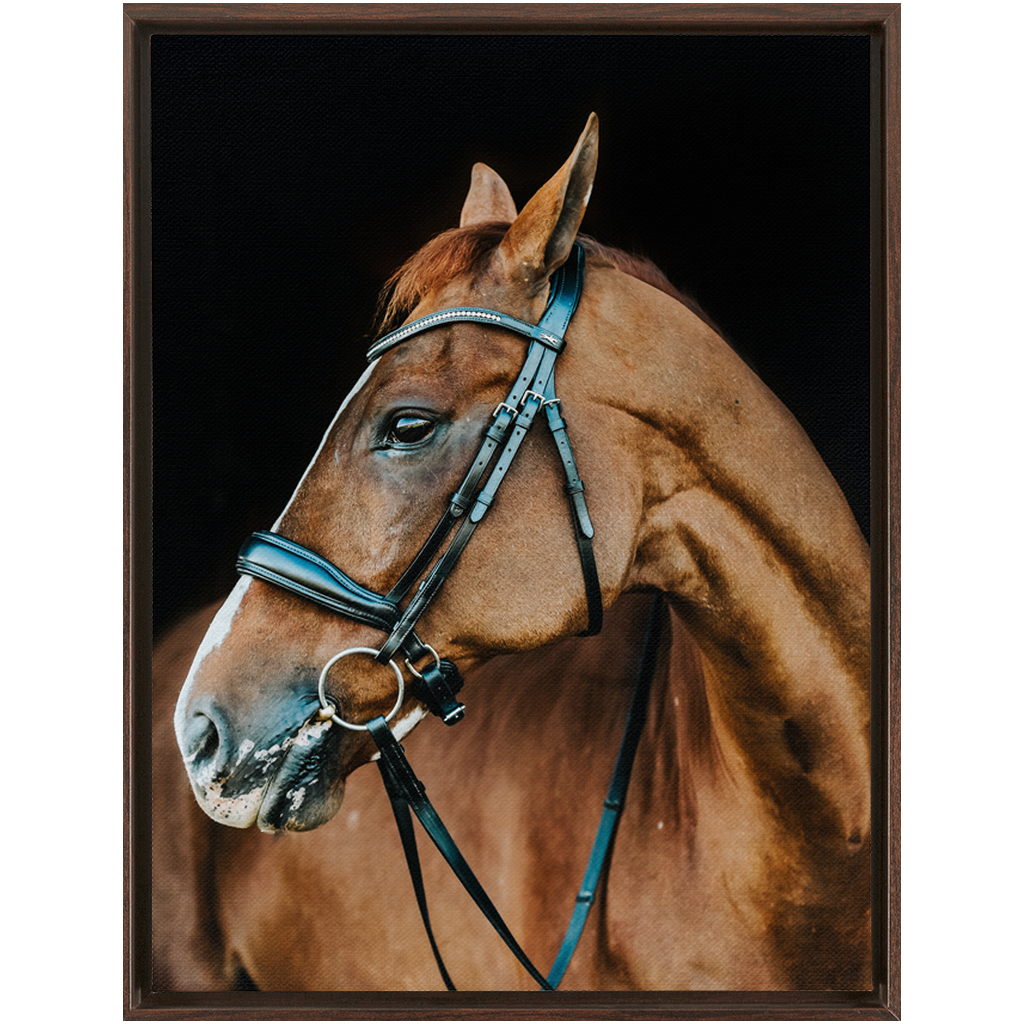 Hudson Series 6, Framed Canvas