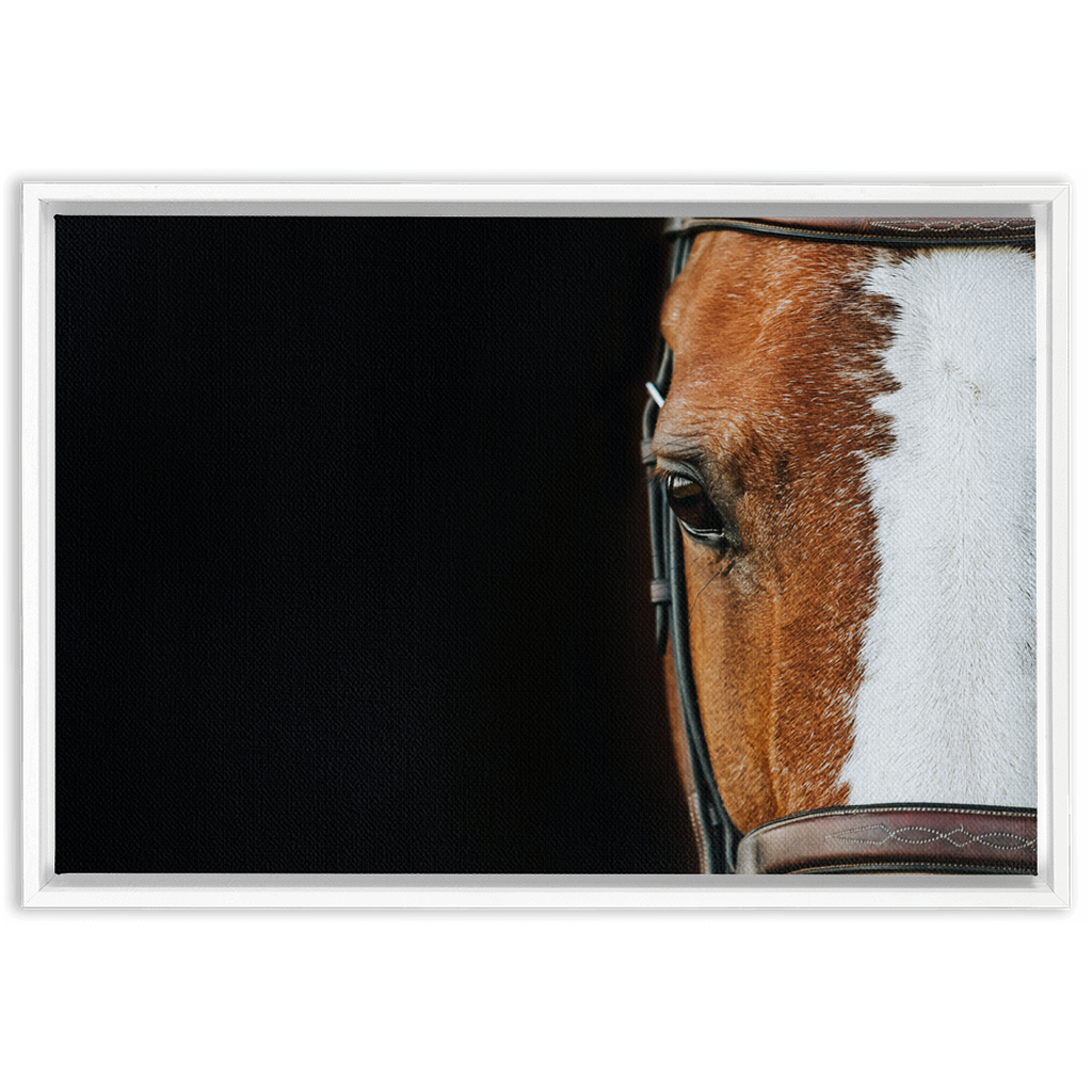 Huntsman Series 5, Framed Canvas