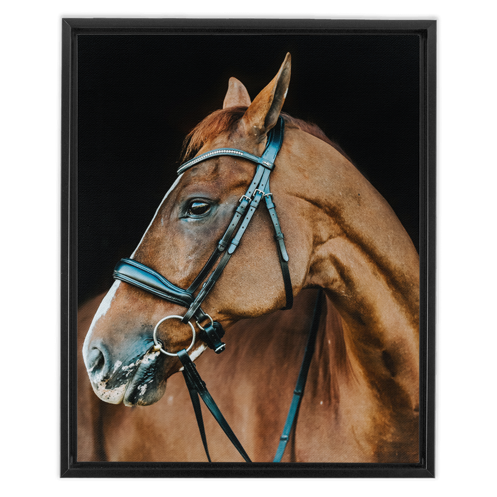 Hudson Series 6, Framed Canvas