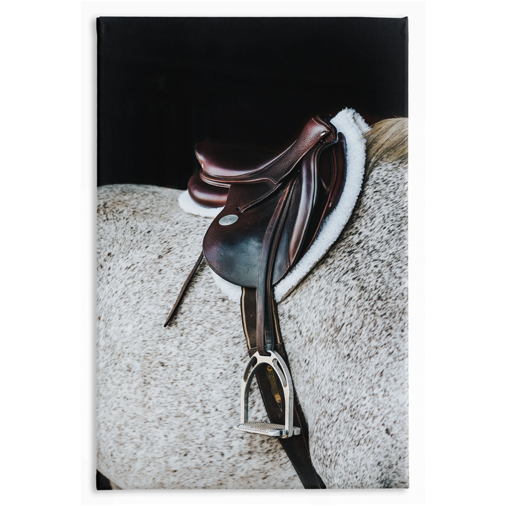 Apollo Series 3, Stretched Canvas