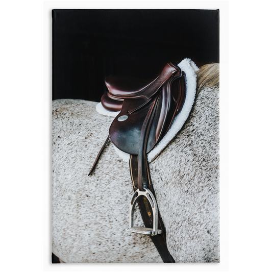 Apollo Series 3, Stretched Canvas