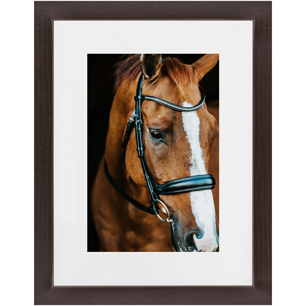 Hudson Series 3, Framed Print
