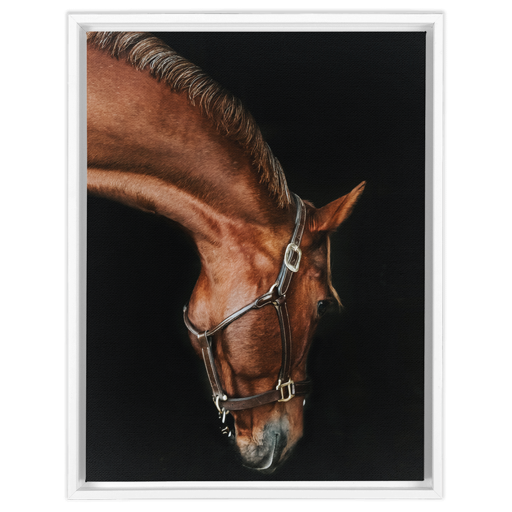 Django Series 6, Framed Canvas