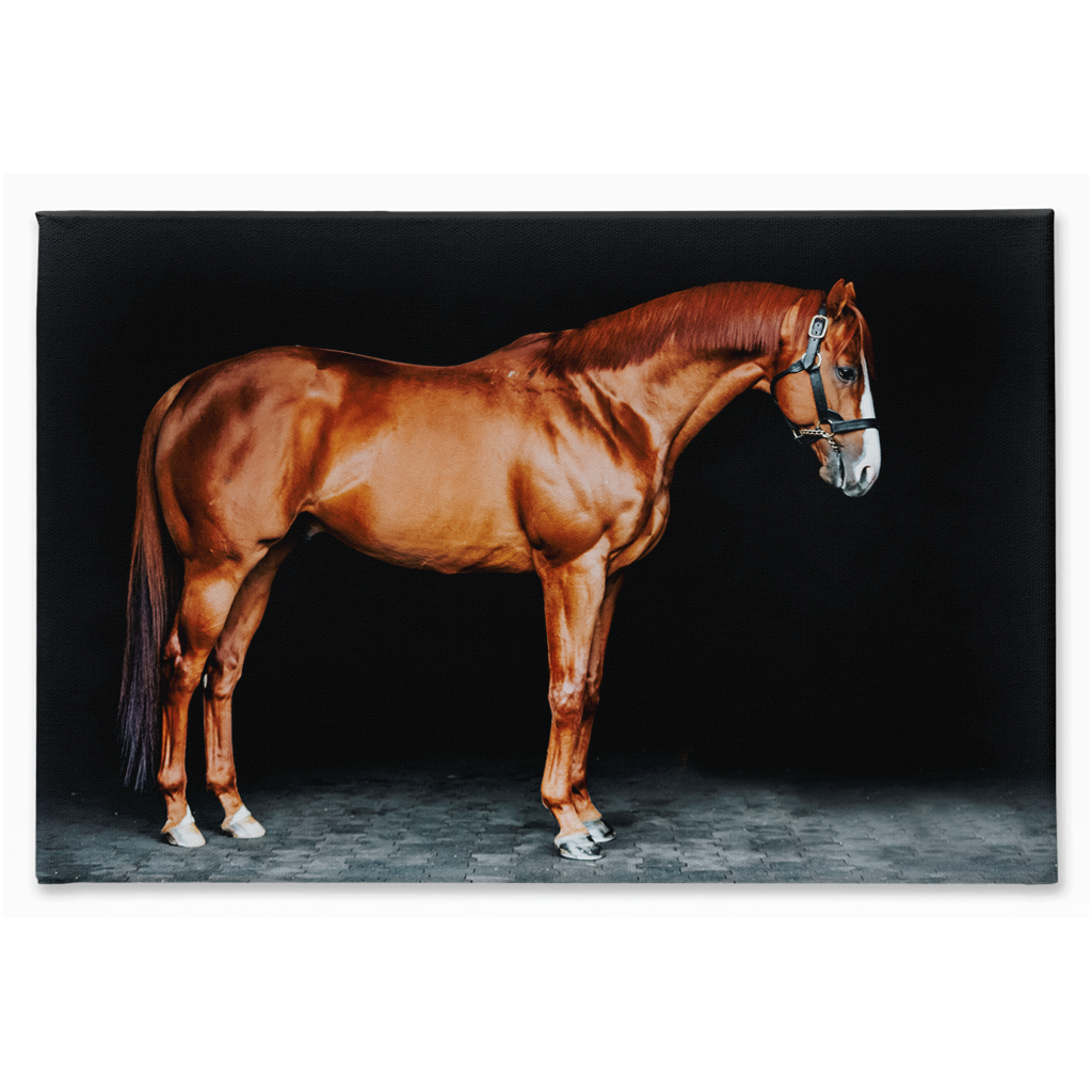 Justify Series 6, Stretched Canvas