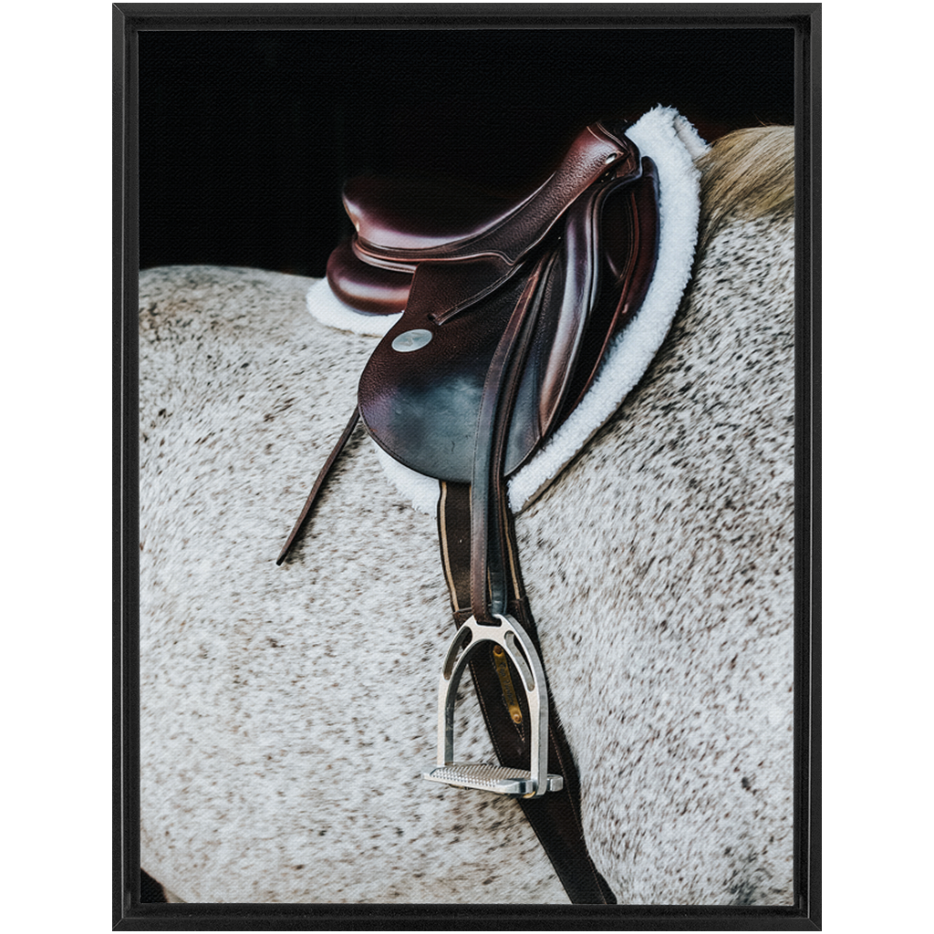 Apollo Series 3, Framed Canvas