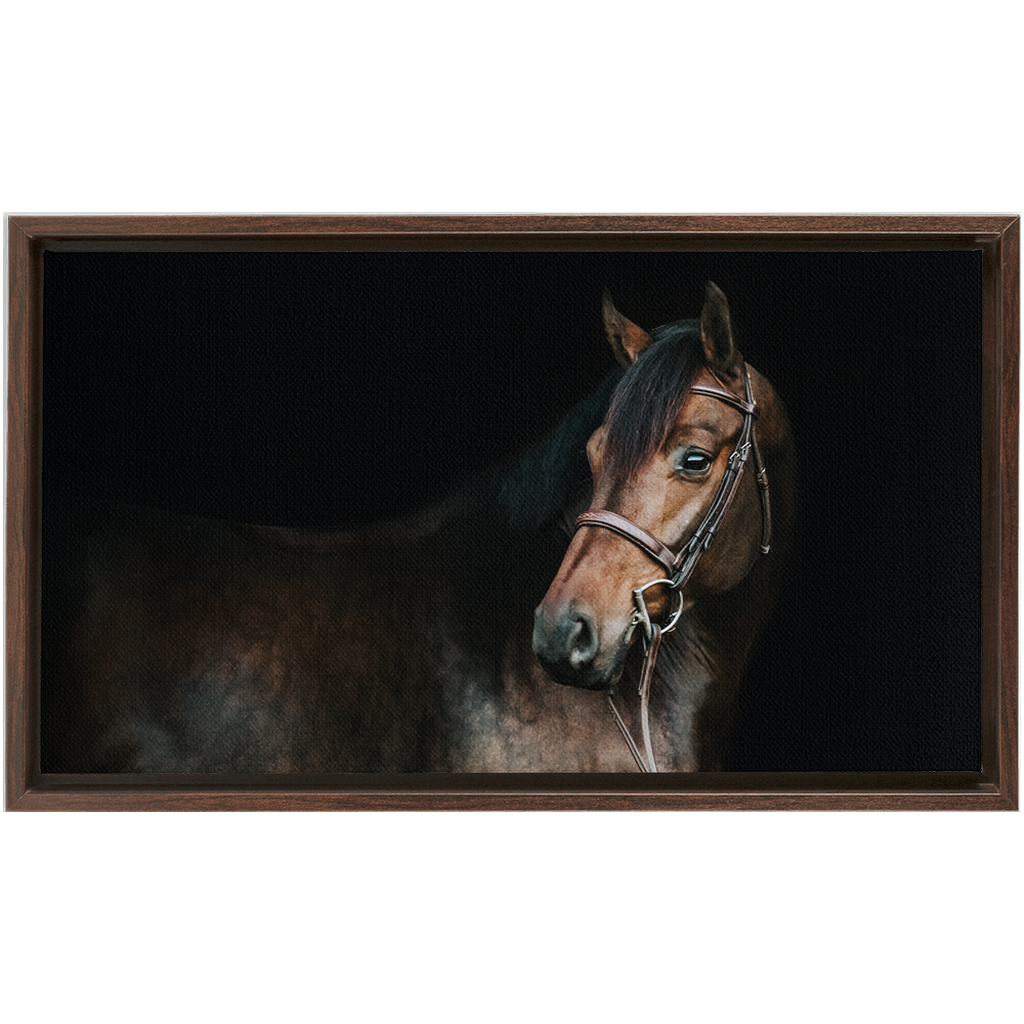 Jovial Series 2, Framed Canvas