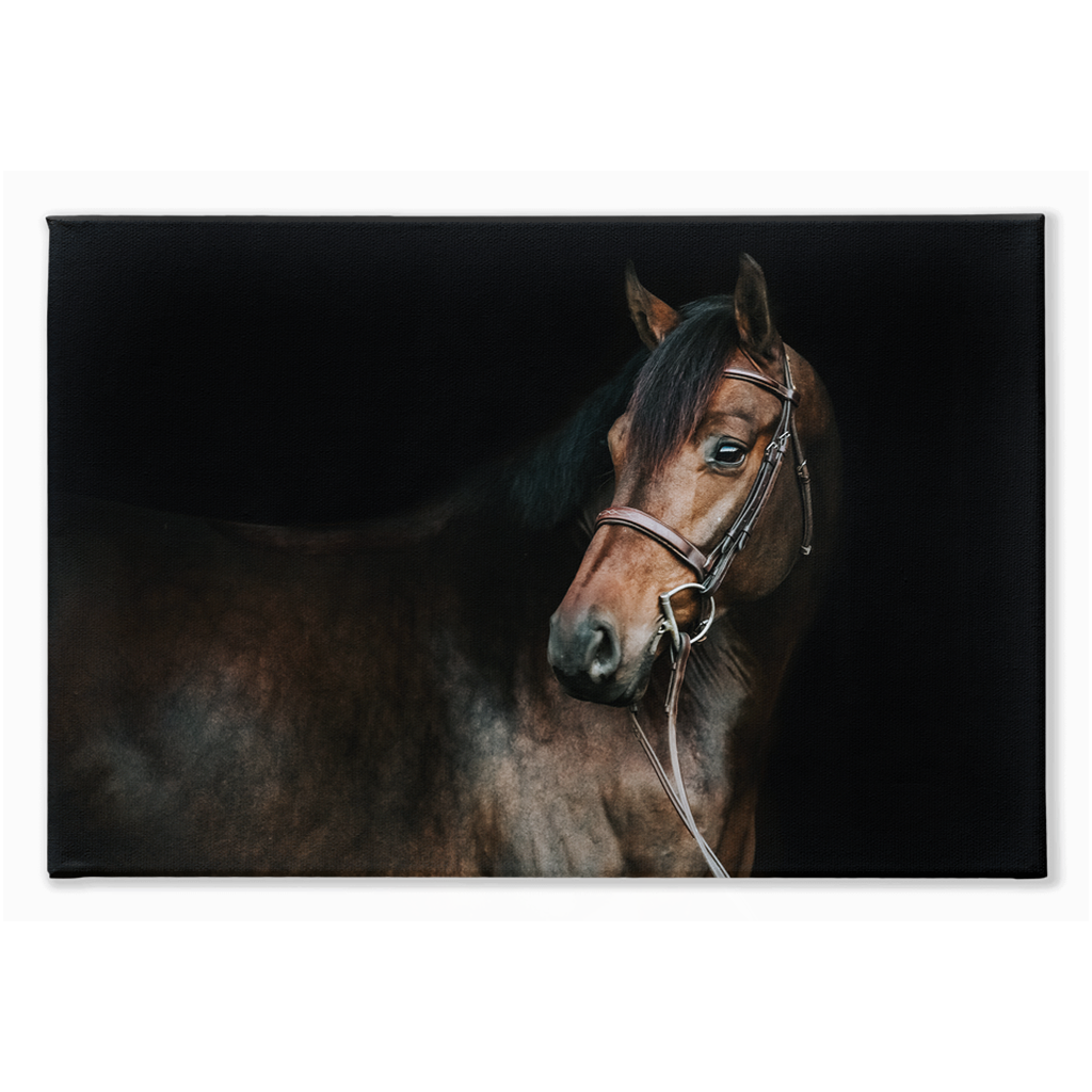 Jovial Series 2, Stretched Canvas