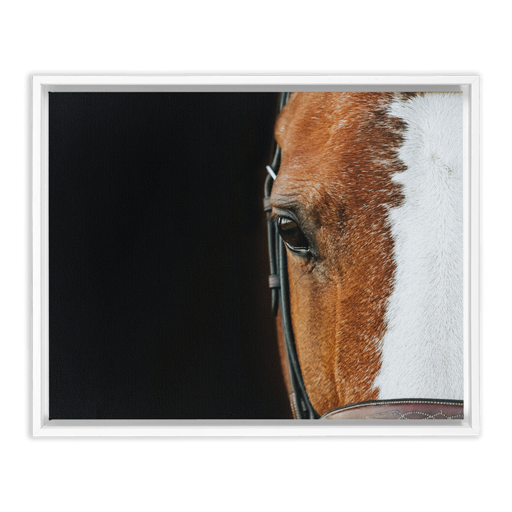 Huntsman Series 5, Framed Canvas