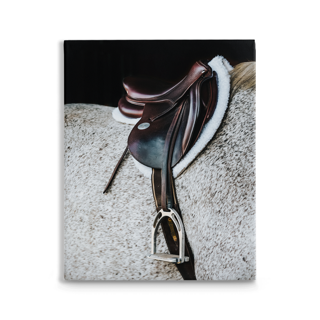 Apollo Series 3, Stretched Canvas