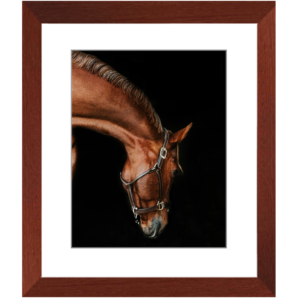 Django Series 6, Framed Print
