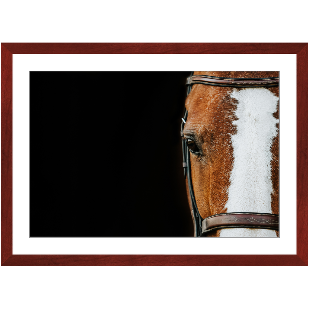 Huntsman Series 5, Framed Print