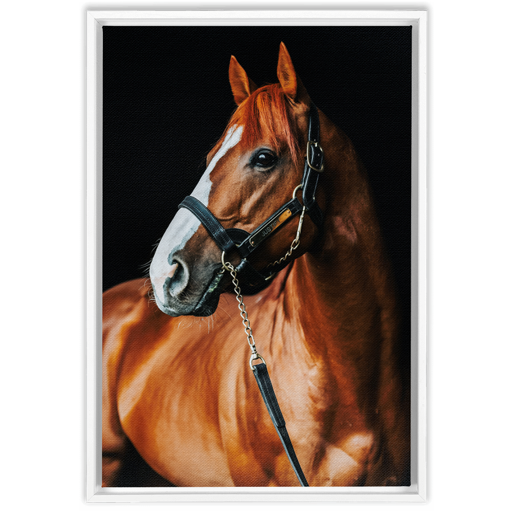 Justify Series 1, Framed Canvas