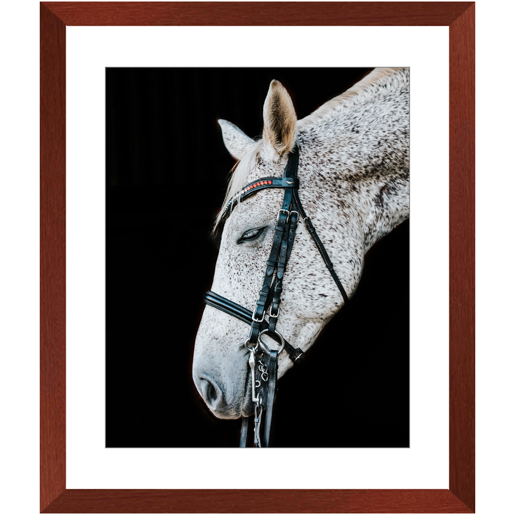 Apollo Series 2, Framed Print