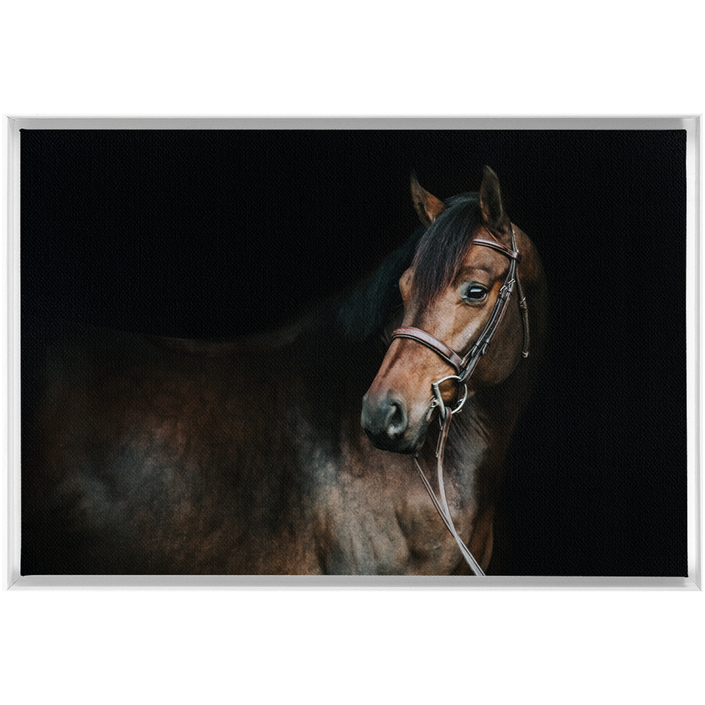 Jovial Series 2, Framed Canvas