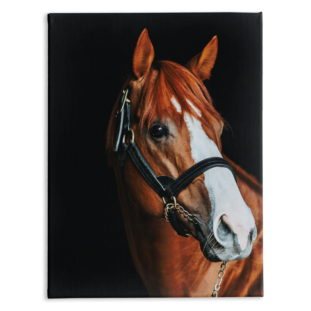 Justify Series 2, Stretched Canvas