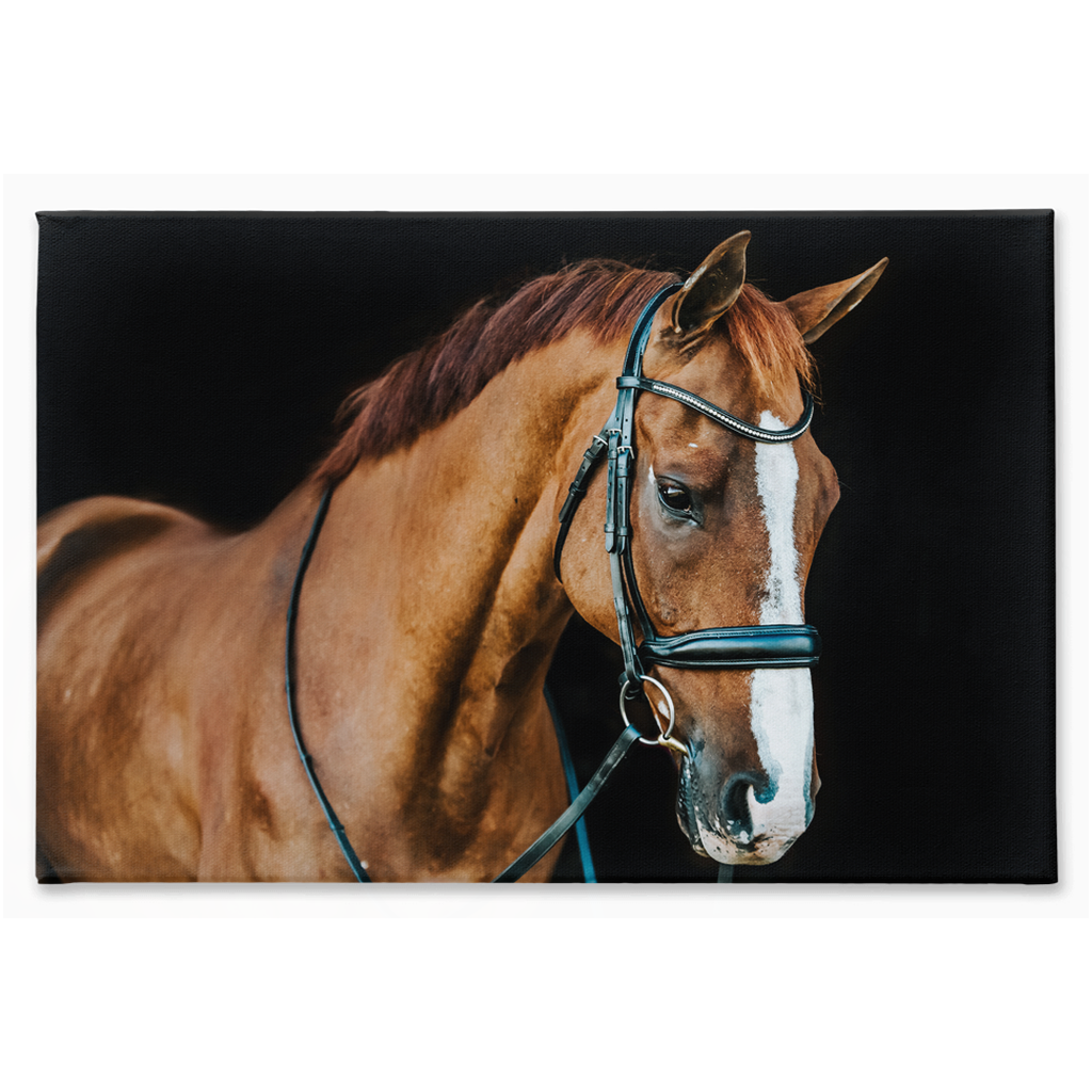 Hudson Series 1, Stretched Canvas