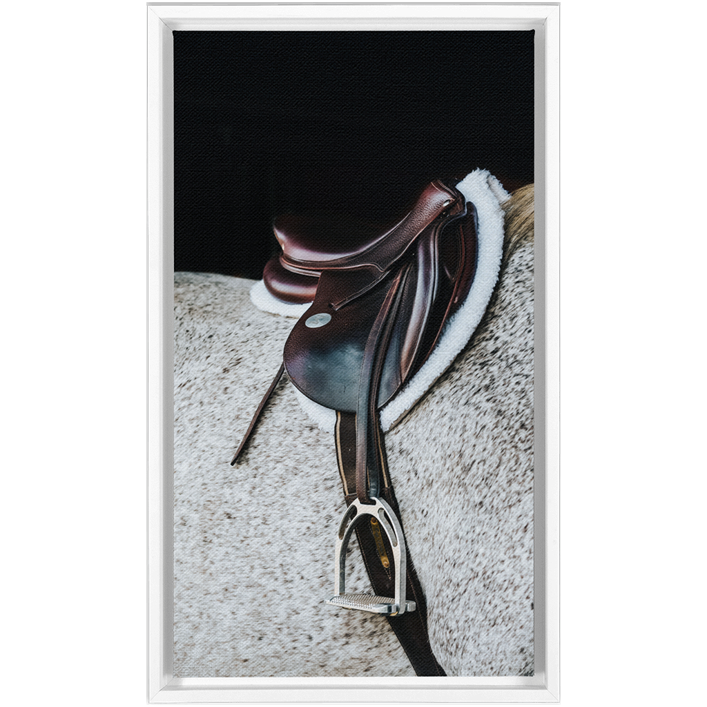 Apollo Series 3, Framed Canvas