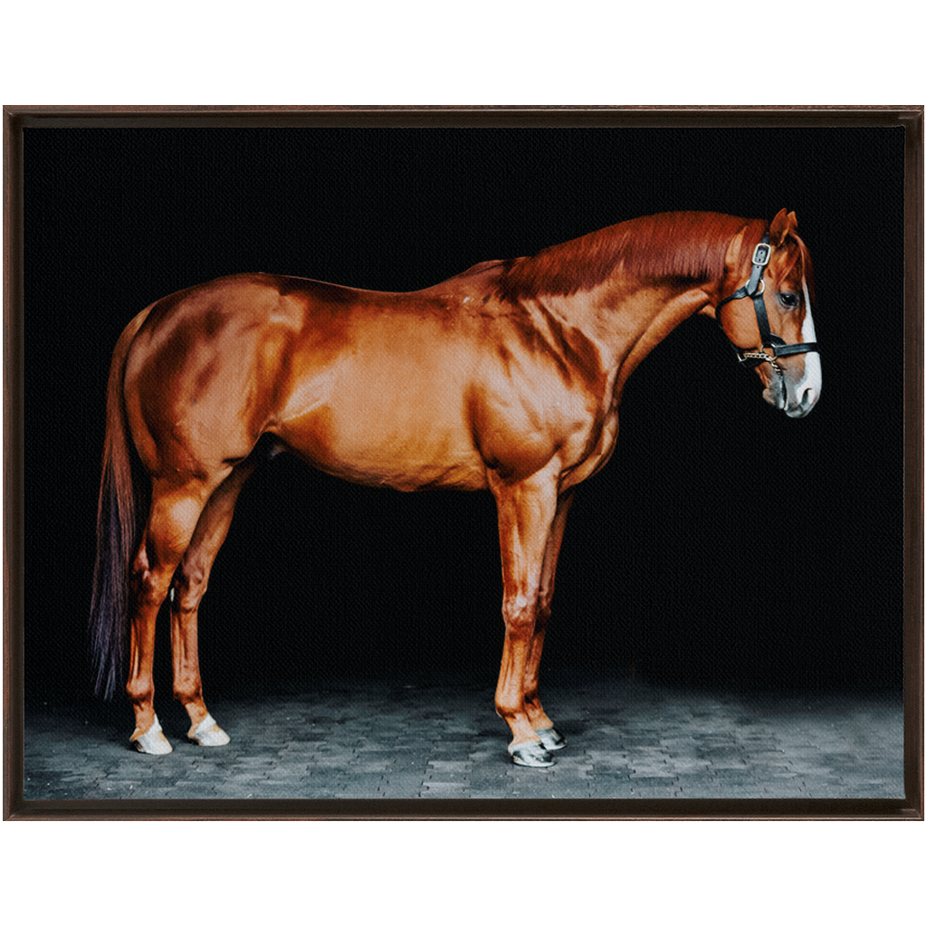 Justify Series 6, Framed Canvas