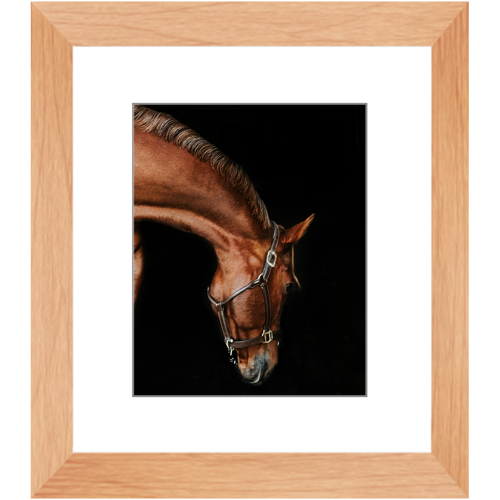 Django Series 6, Framed Print
