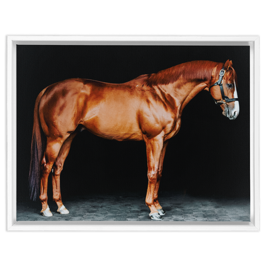 Justify Series 6, Framed Canvas