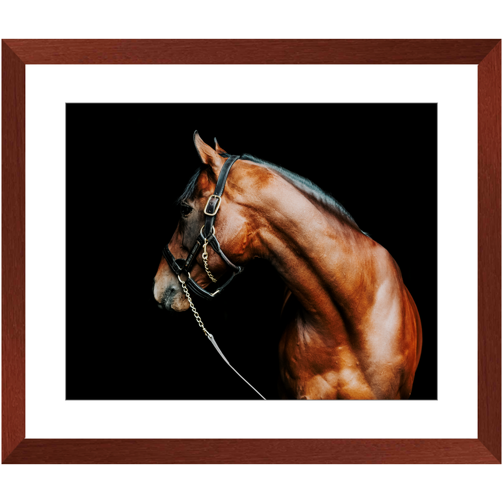 American Pharoah Series 5, Framed Print