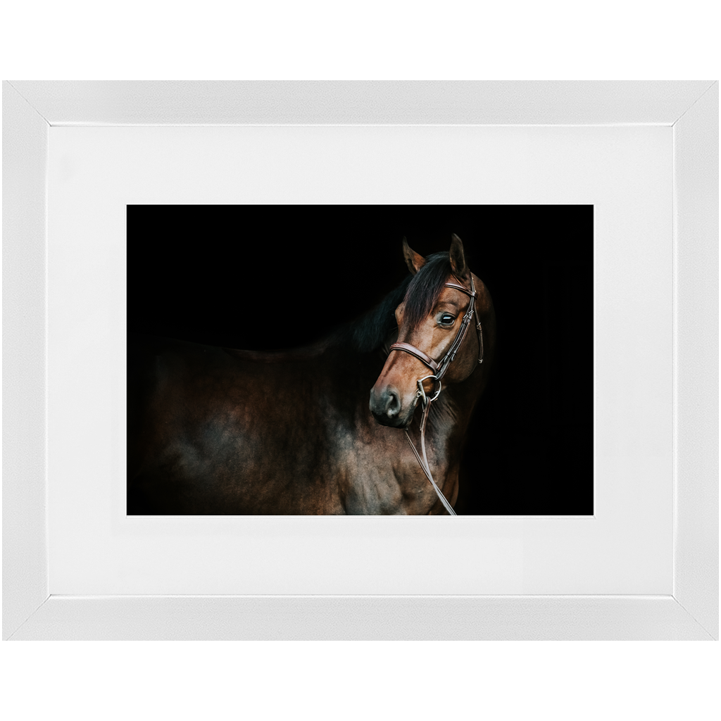 Jovial Series 2, Framed Print