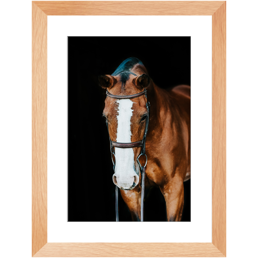Huntsman Series 6, Framed Print