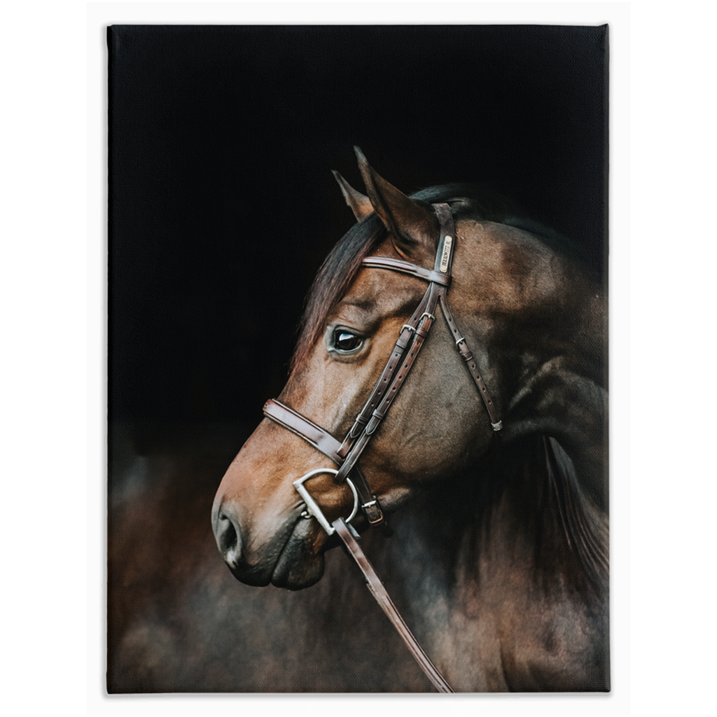 Jovial Series 3, Stretched Canvas