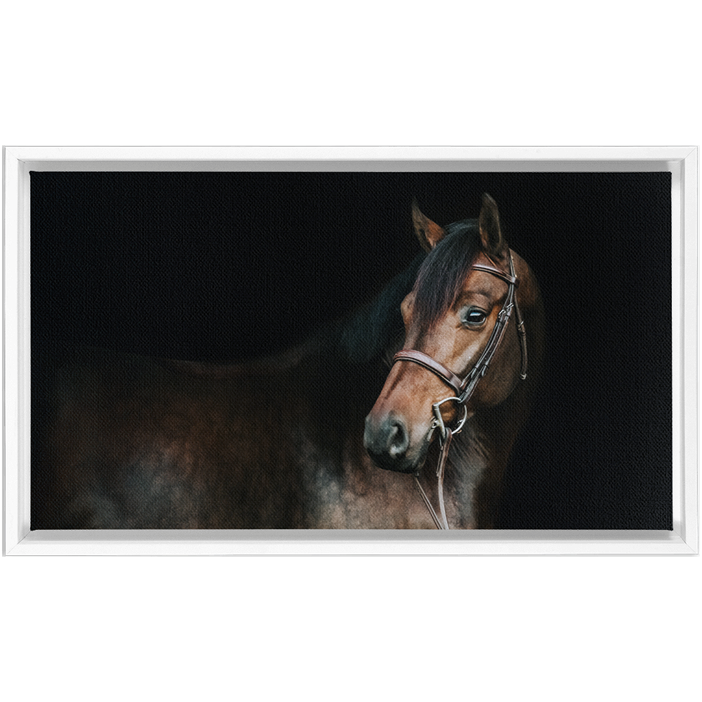 Jovial Series 2, Framed Canvas