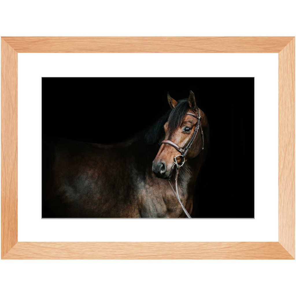 Jovial Series 2, Framed Print