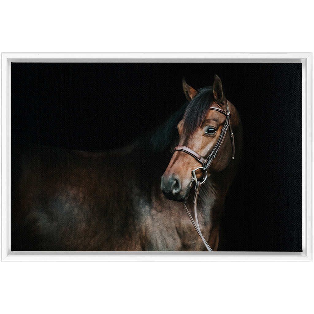 Jovial Series 2, Framed Canvas