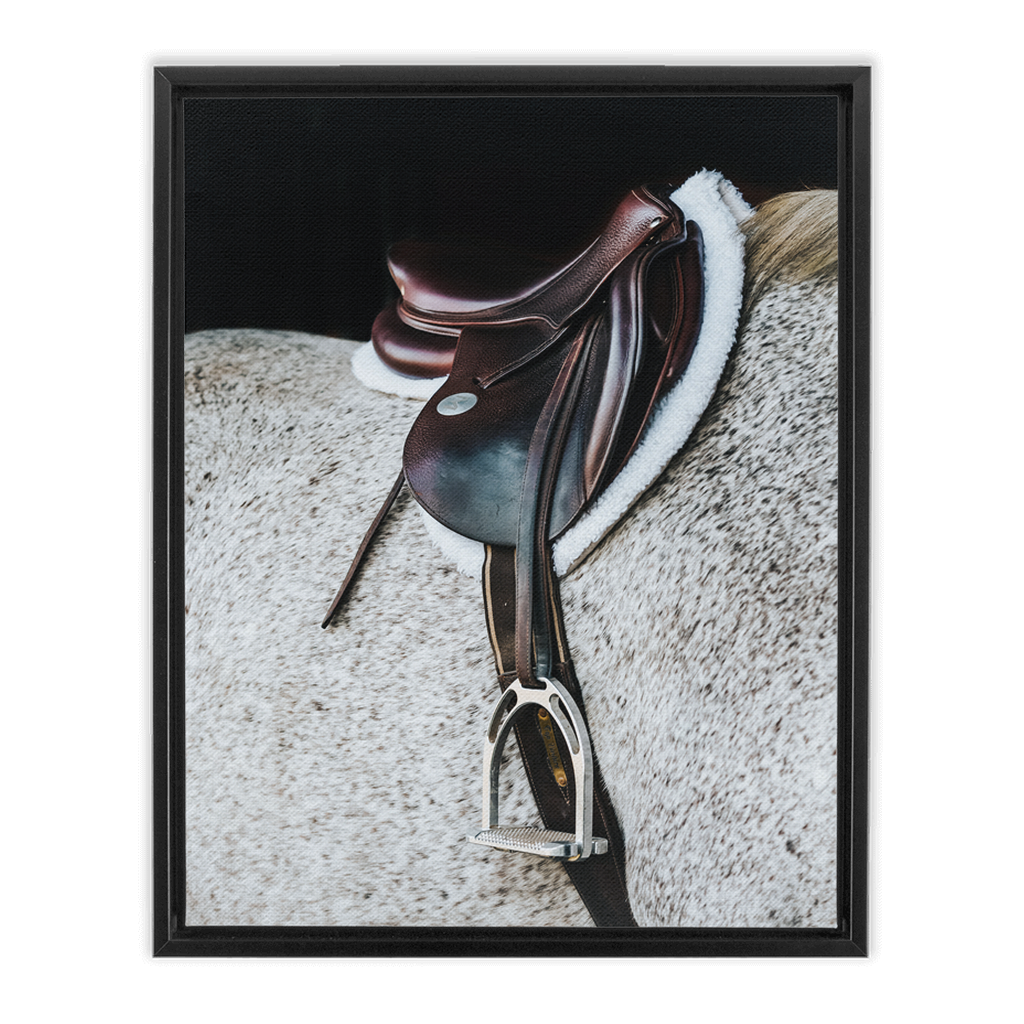 Apollo Series 3, Framed Canvas