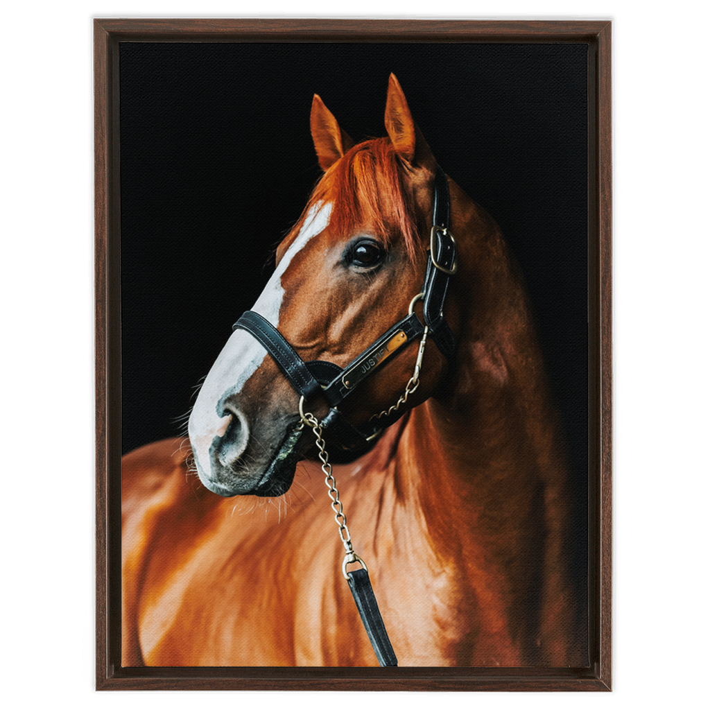 Justify Series 1, Framed Canvas