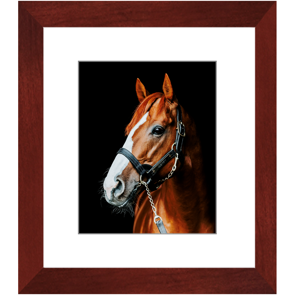 Justify Series 5, Framed Print