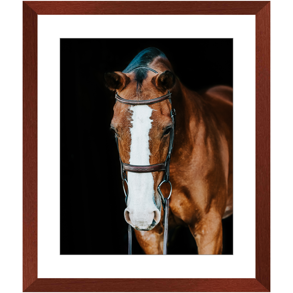 Huntsman Series 6, Framed Print