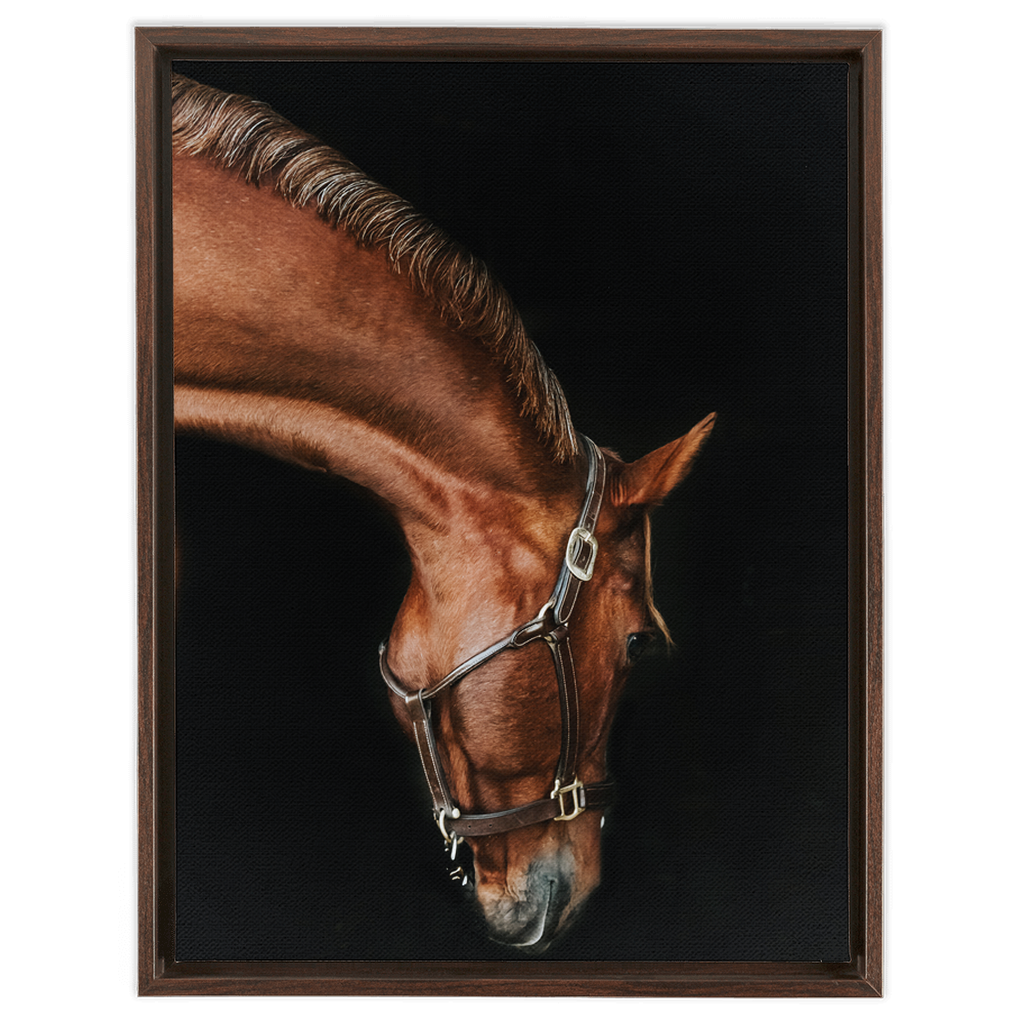 Django Series 6, Framed Canvas