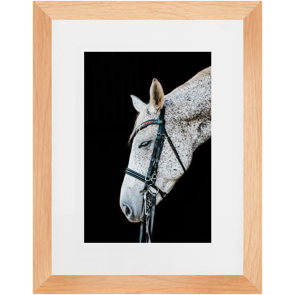 Apollo Series 2, Framed Print