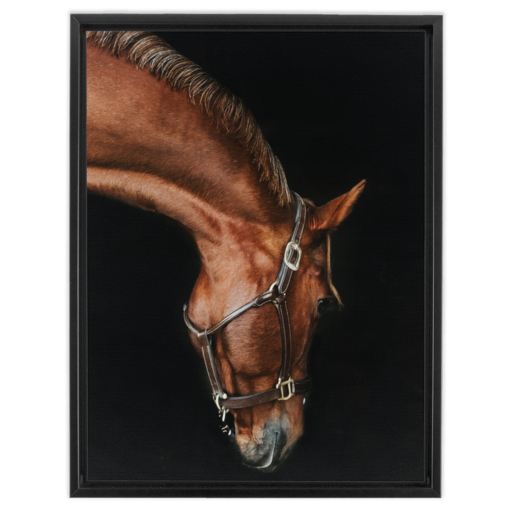 Django Series 6, Framed Canvas