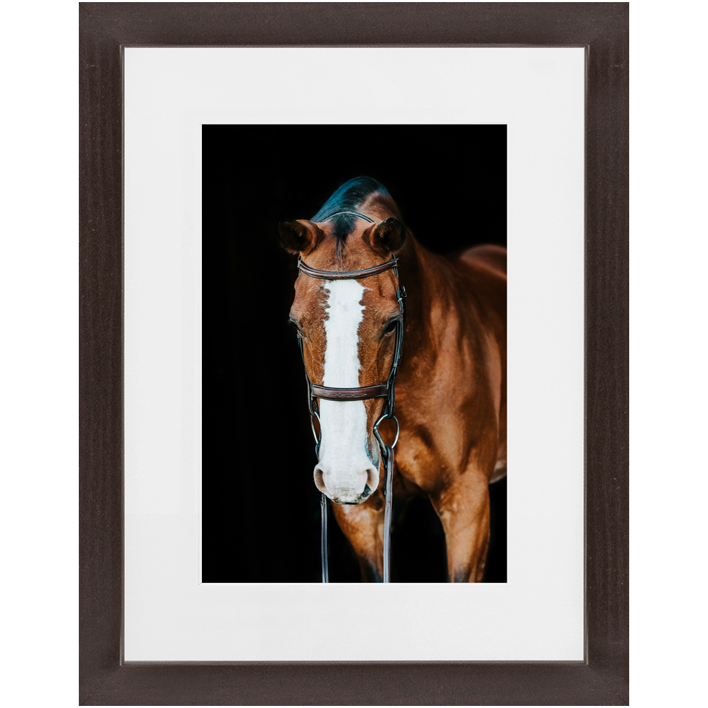 Huntsman Series 6, Framed Print